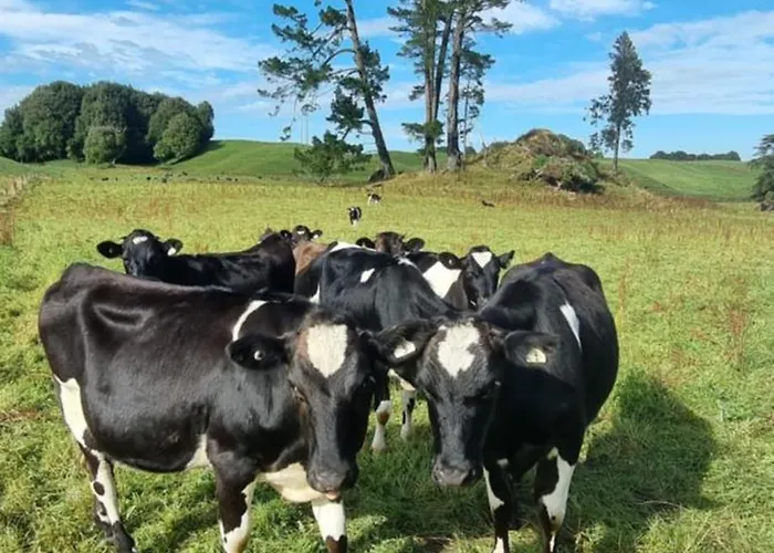 Hiwi Farm - Peaceful Farm Retreat Near